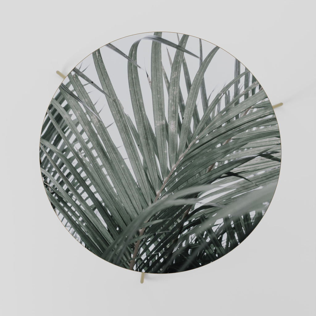 Mesa de centro PALM WHISPERS 69