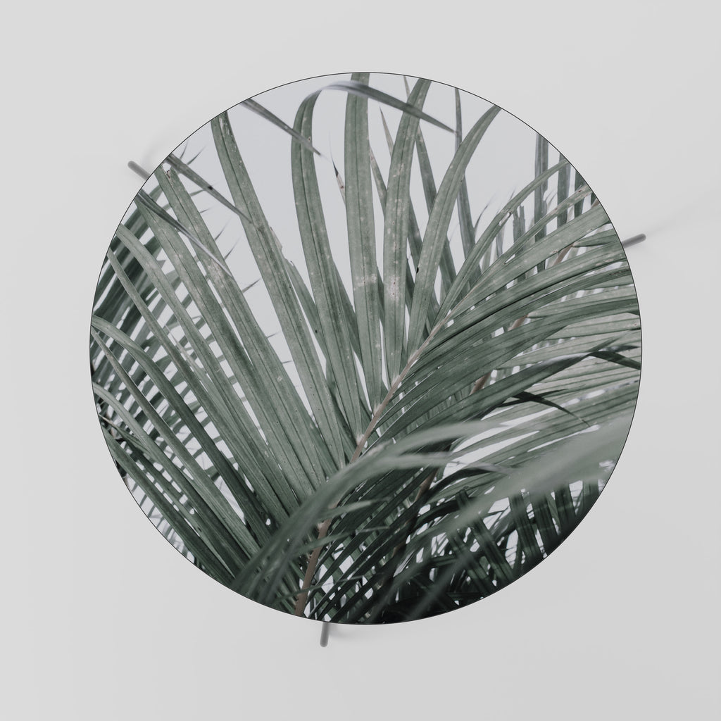 Mesa de centro PALM WHISPERS 69