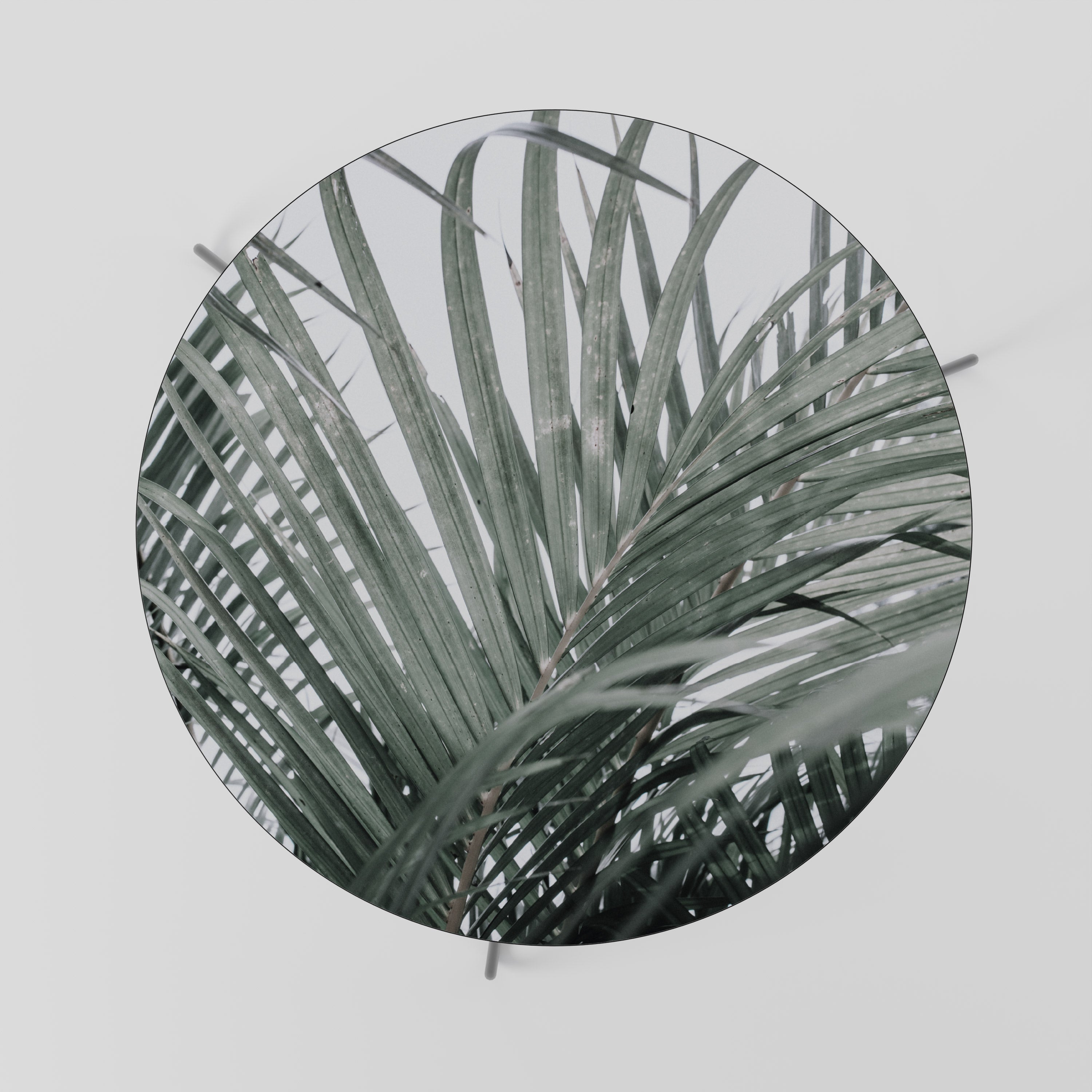 Mesa de centro PALM WHISPERS 69