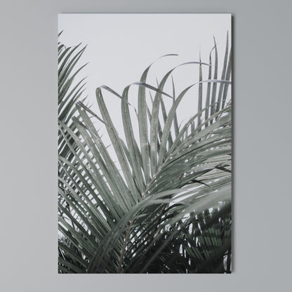 PALM WHISPERS Vertical Canvas Print