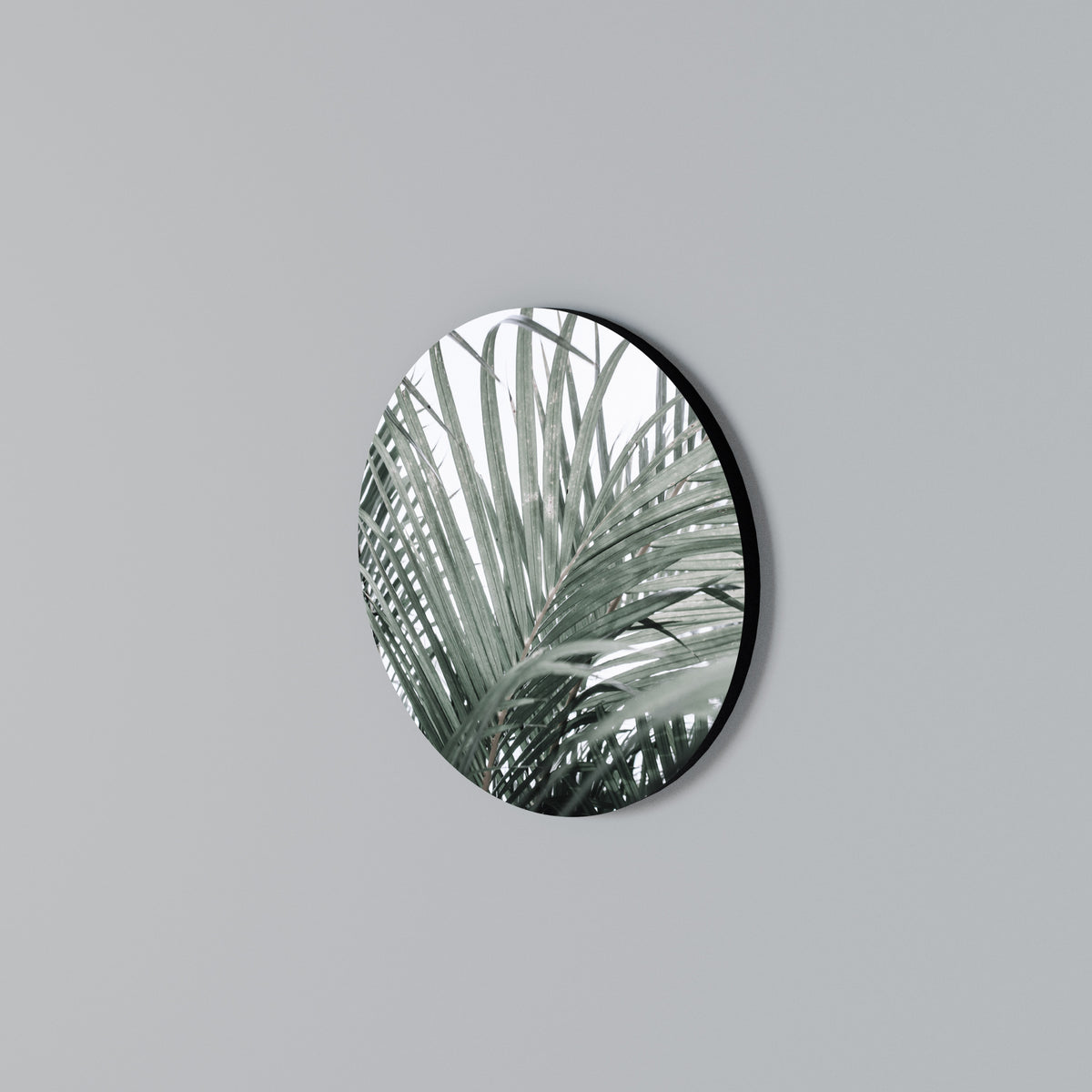 PALM WHISPERS Arte de pared redondo