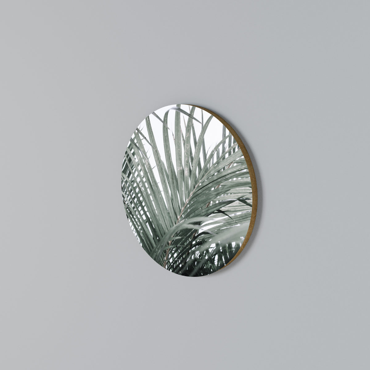 PALM WHISPERS Arte de pared redondo