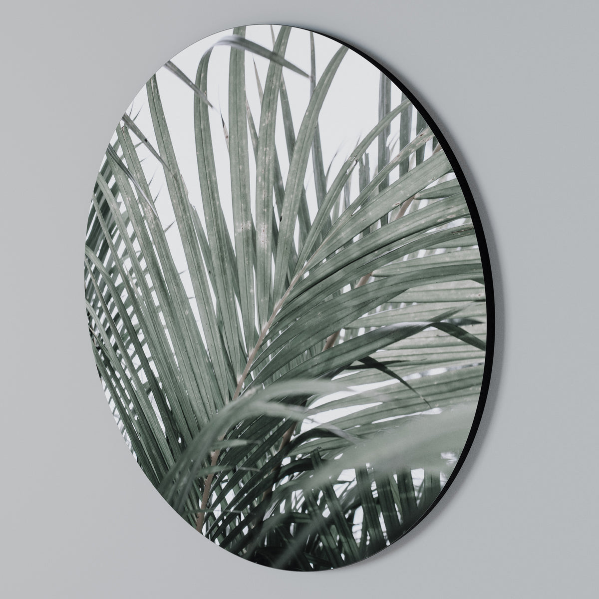 PALM WHISPERS Arte de pared redondo