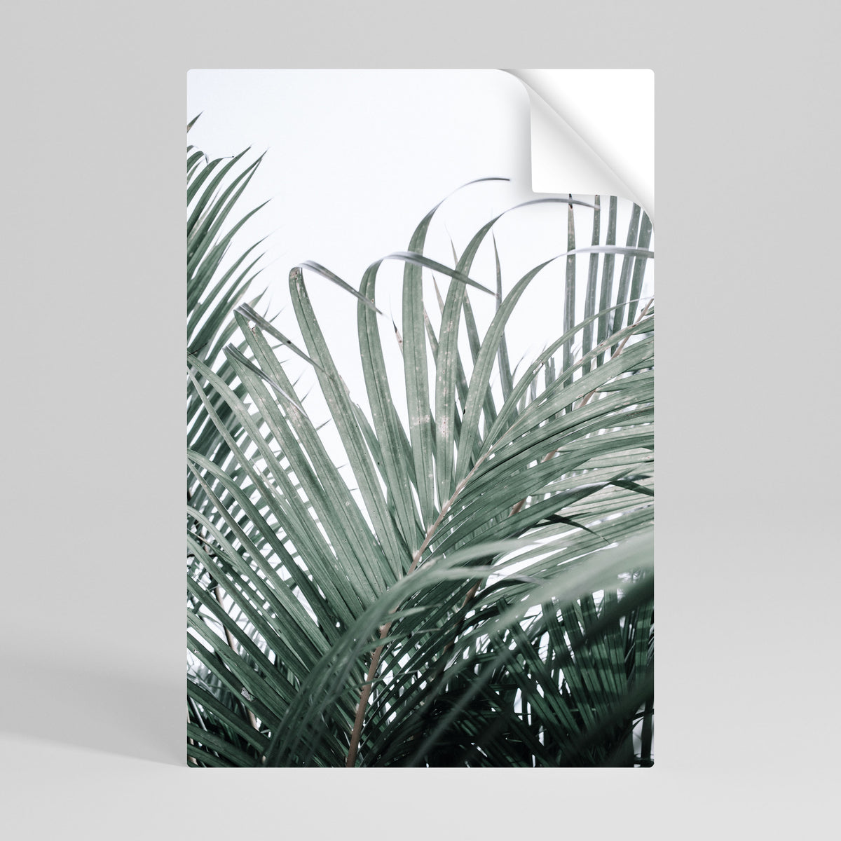 PALM WHISPERS Póster adhesivo vertical