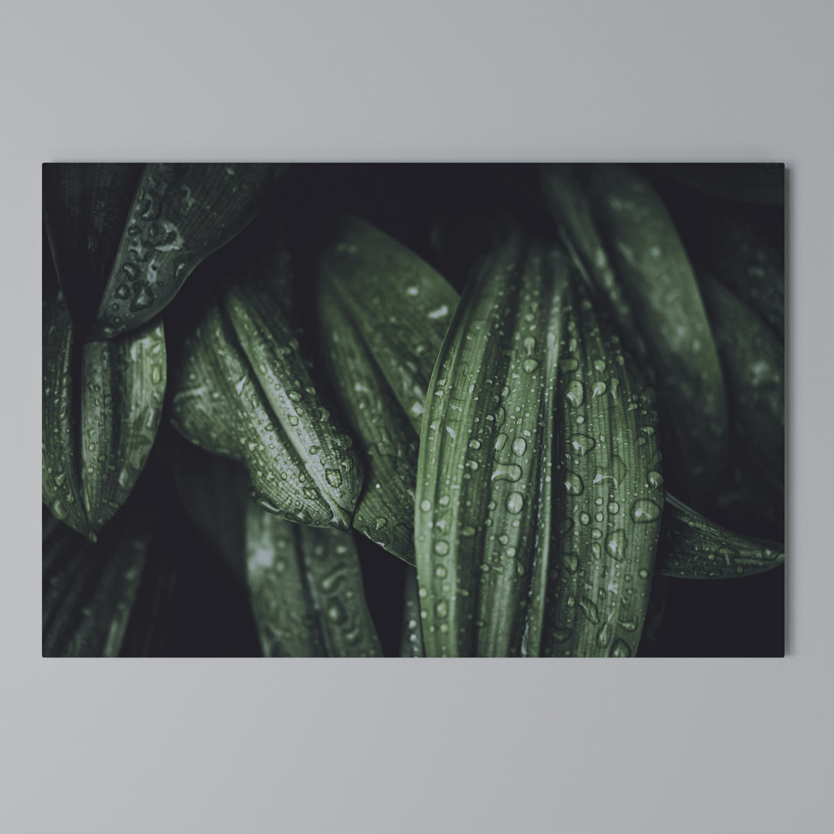 LUSH DROPLET DANCE Cuadro en lienzo horizontal