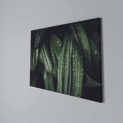LUSH DROPLET DANCE Cuadro en lienzo horizontal