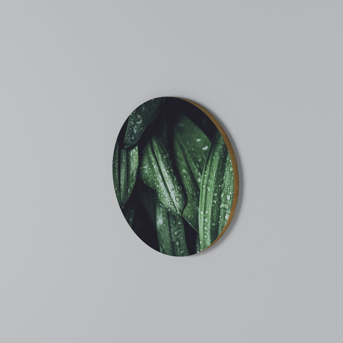 LUSH DROPLET DANCE Arte de pared redondo