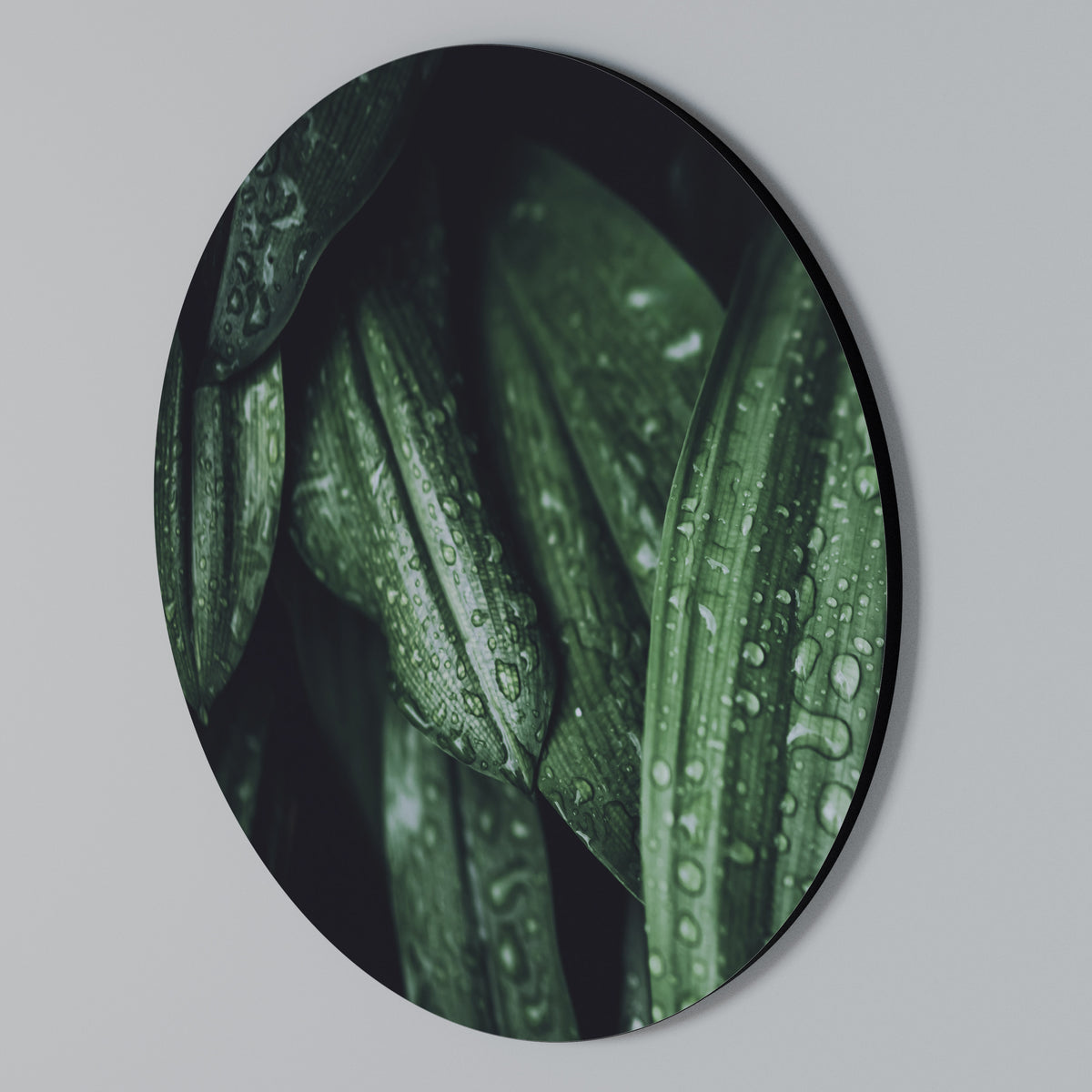 LUSH DROPLET DANCE Arte de pared redondo