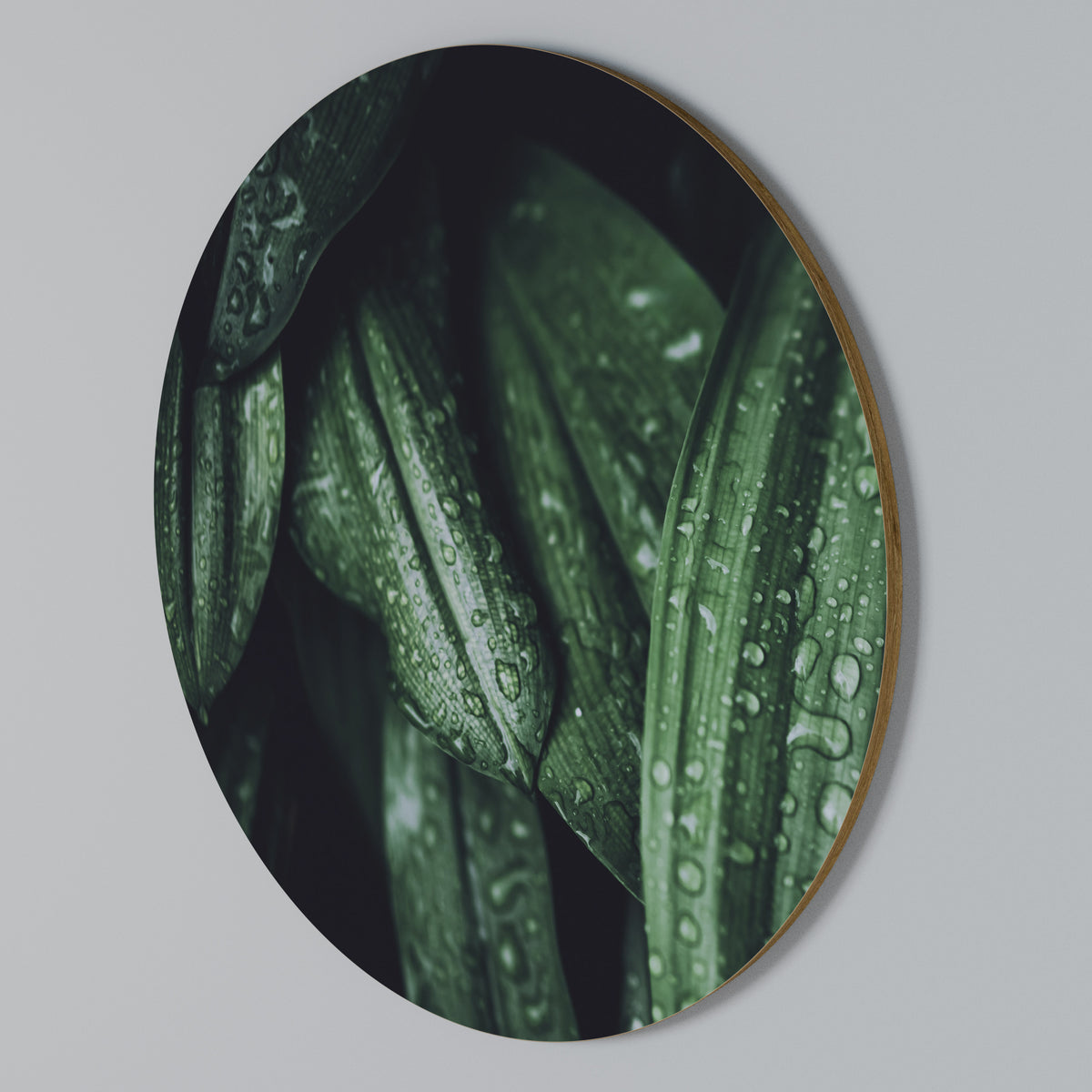 LUSH DROPLET DANCE Arte de pared redondo