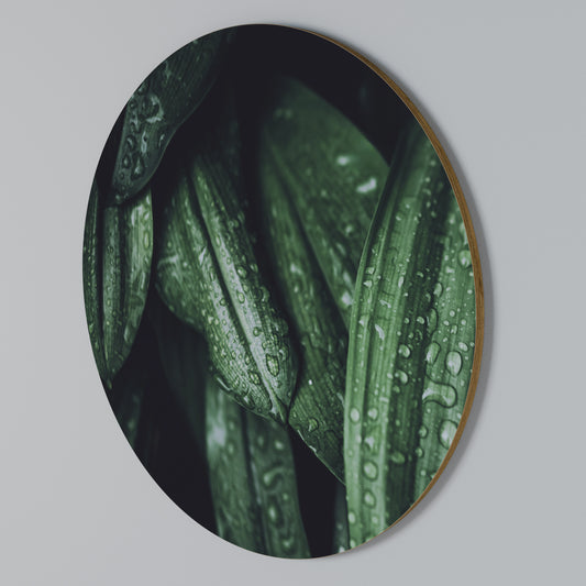 LUSH DROPLET DANCE Arte de pared redondo