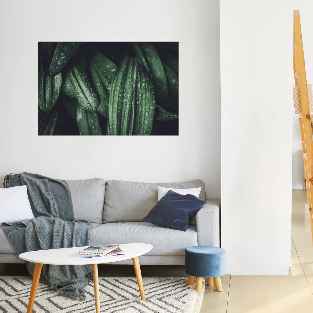 BAILE DE GOTAS LUSH Póster horizontal autoadhesivo