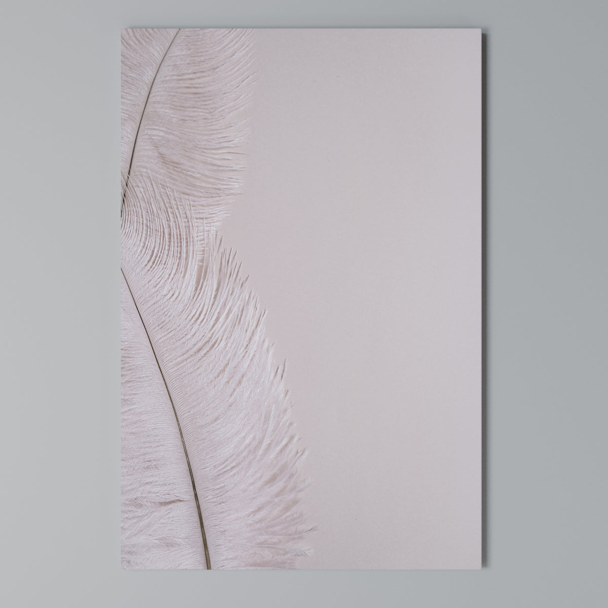 WHISPERING PINK FEATHERS Cuadro en lienzo vertical