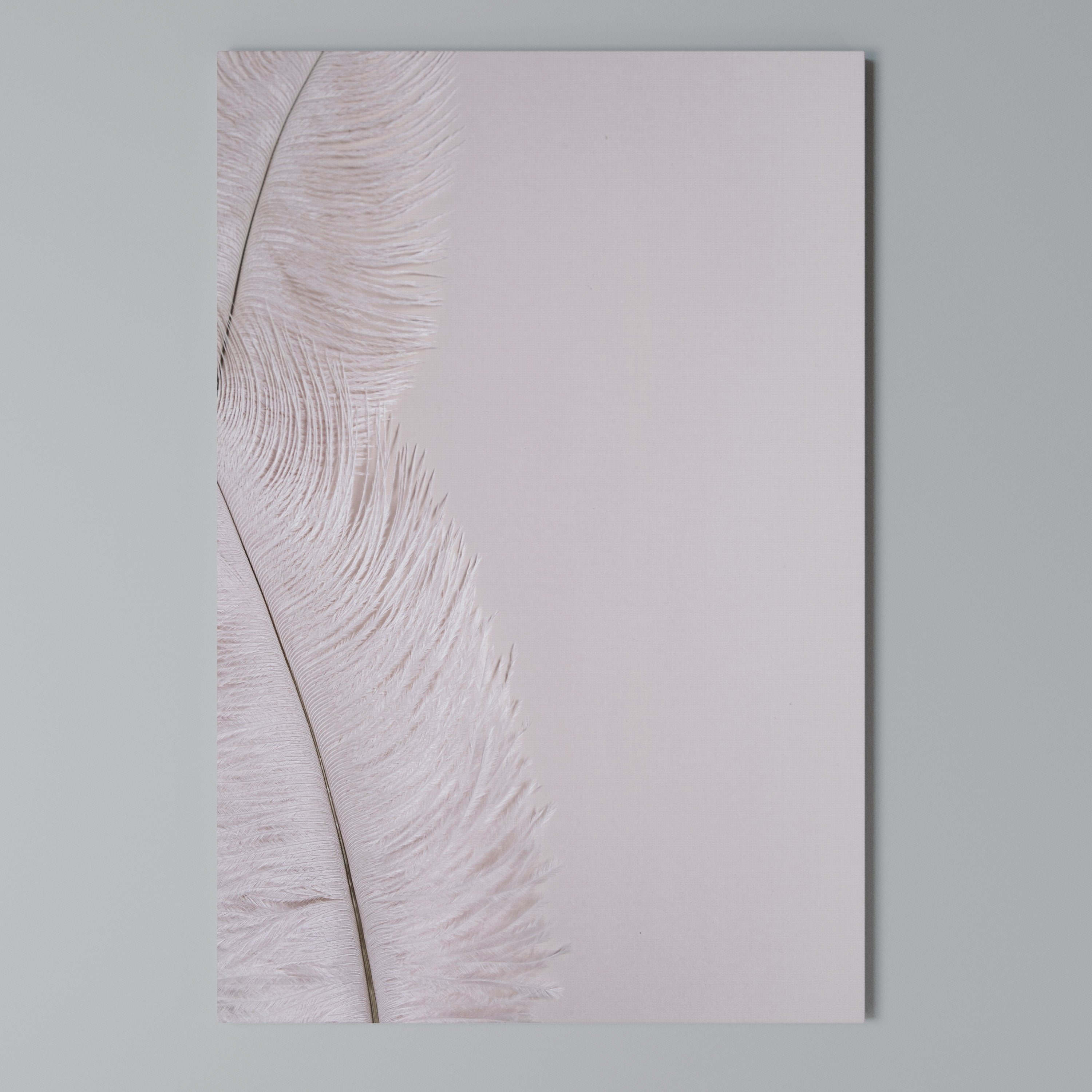 WHISPERING PINK FEATHERS Cuadro en lienzo vertical