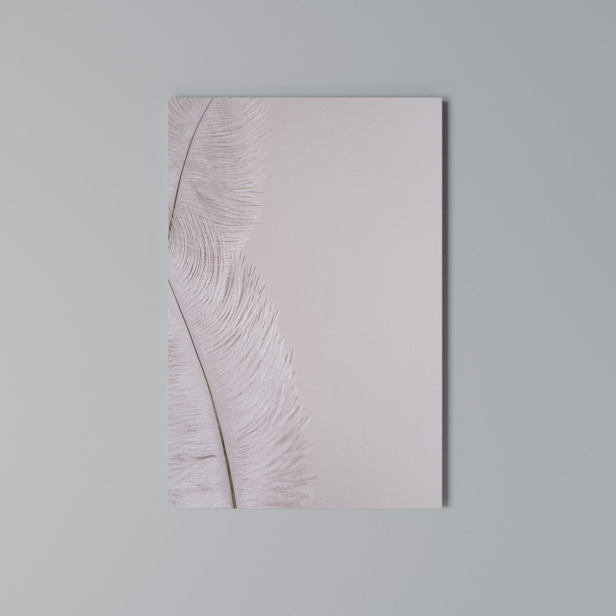 WHISPERING PINK FEATHERS Cuadro en lienzo vertical
