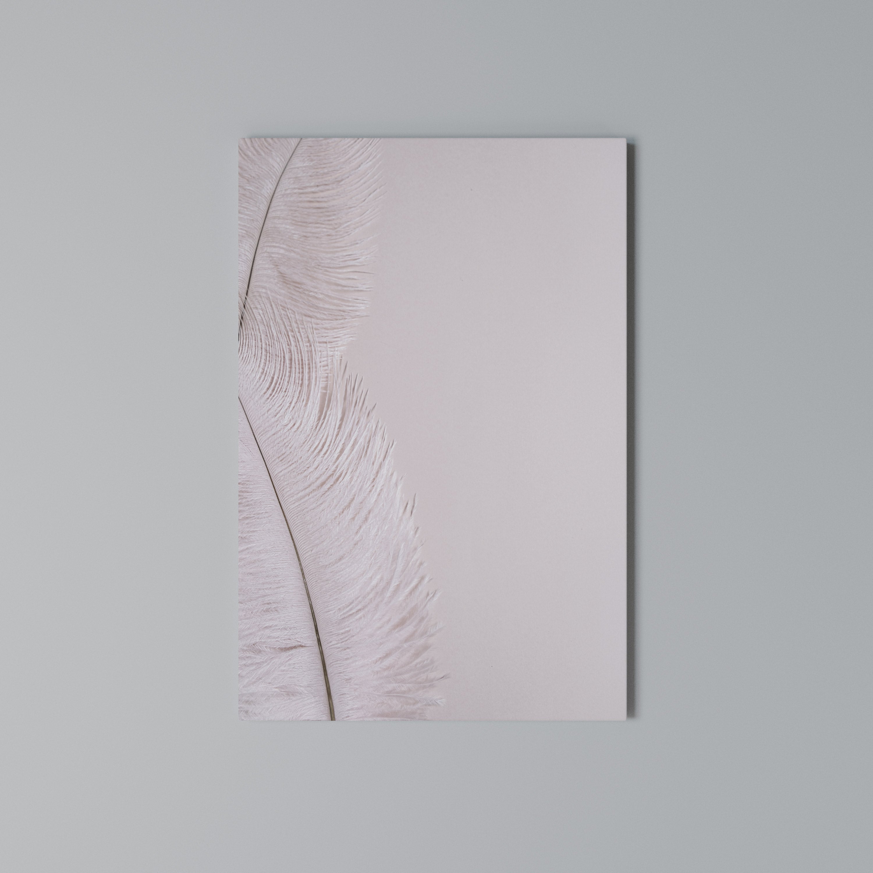 WHISPERING PINK FEATHERS Cuadro en lienzo vertical