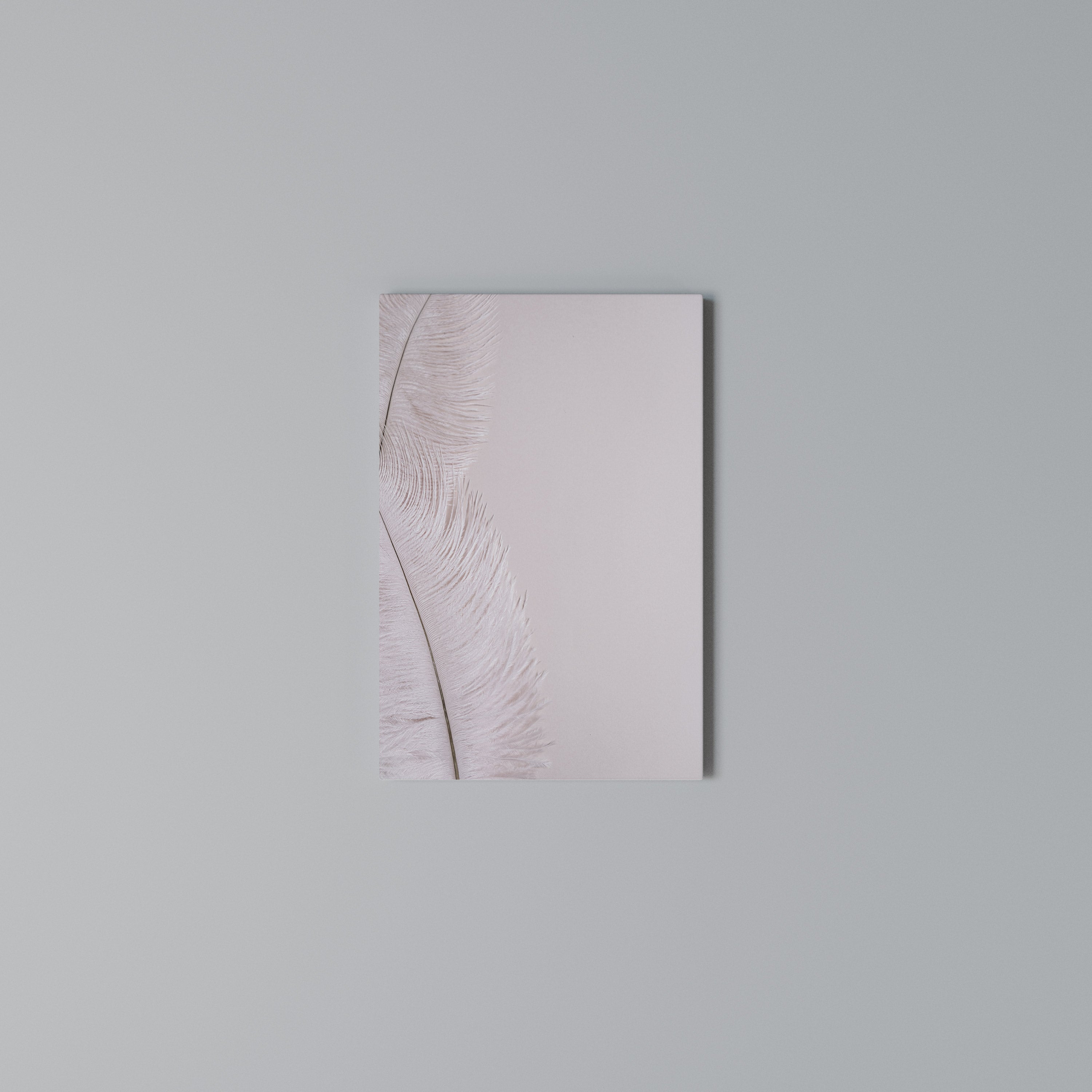 WHISPERING PINK FEATHERS Cuadro en lienzo vertical