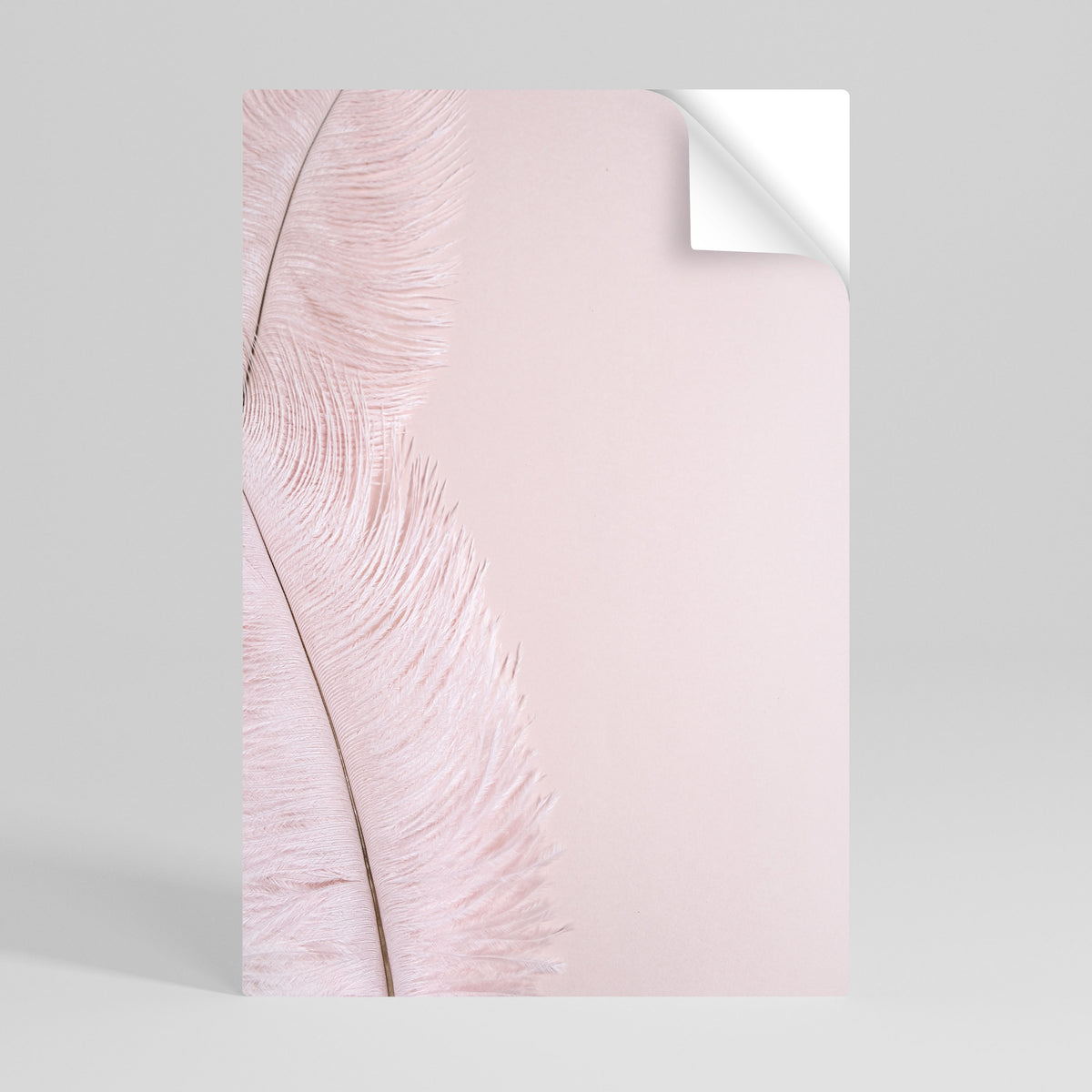 WHISPERING PINK FEATHERS Póster adhesivo vertical