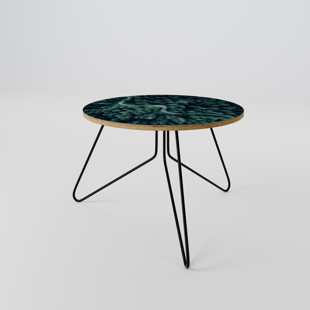 FORESTED SERPENTINE ROUTE Coffee Table 60
