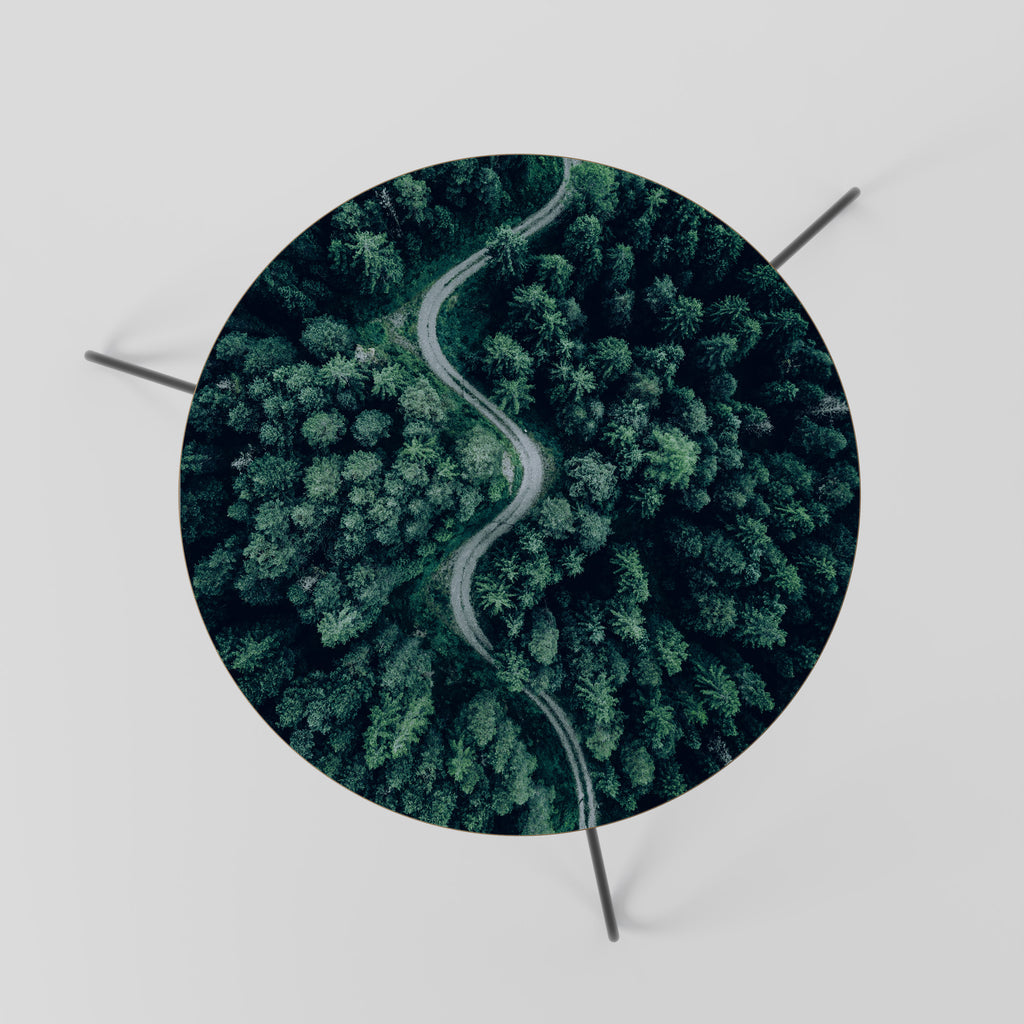 FORESTED SERPENTINE ROUTE Coffee Table 60