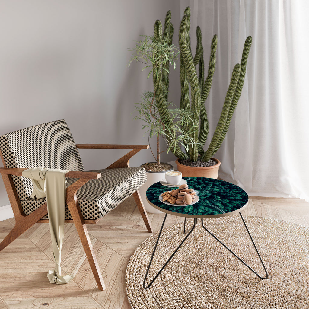 FORESTED SERPENTINE ROUTE Coffee Table 60