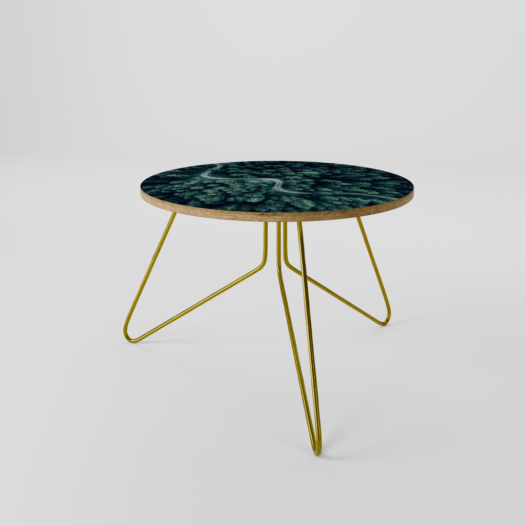 FORESTED SERPENTINE ROUTE Coffee Table 60