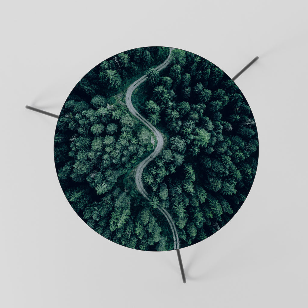 FORESTED SERPENTINE ROUTE Coffee Table 60