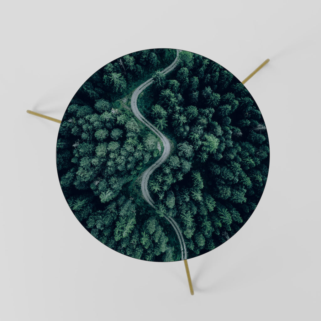 FORESTED SERPENTINE ROUTE Coffee Table 60