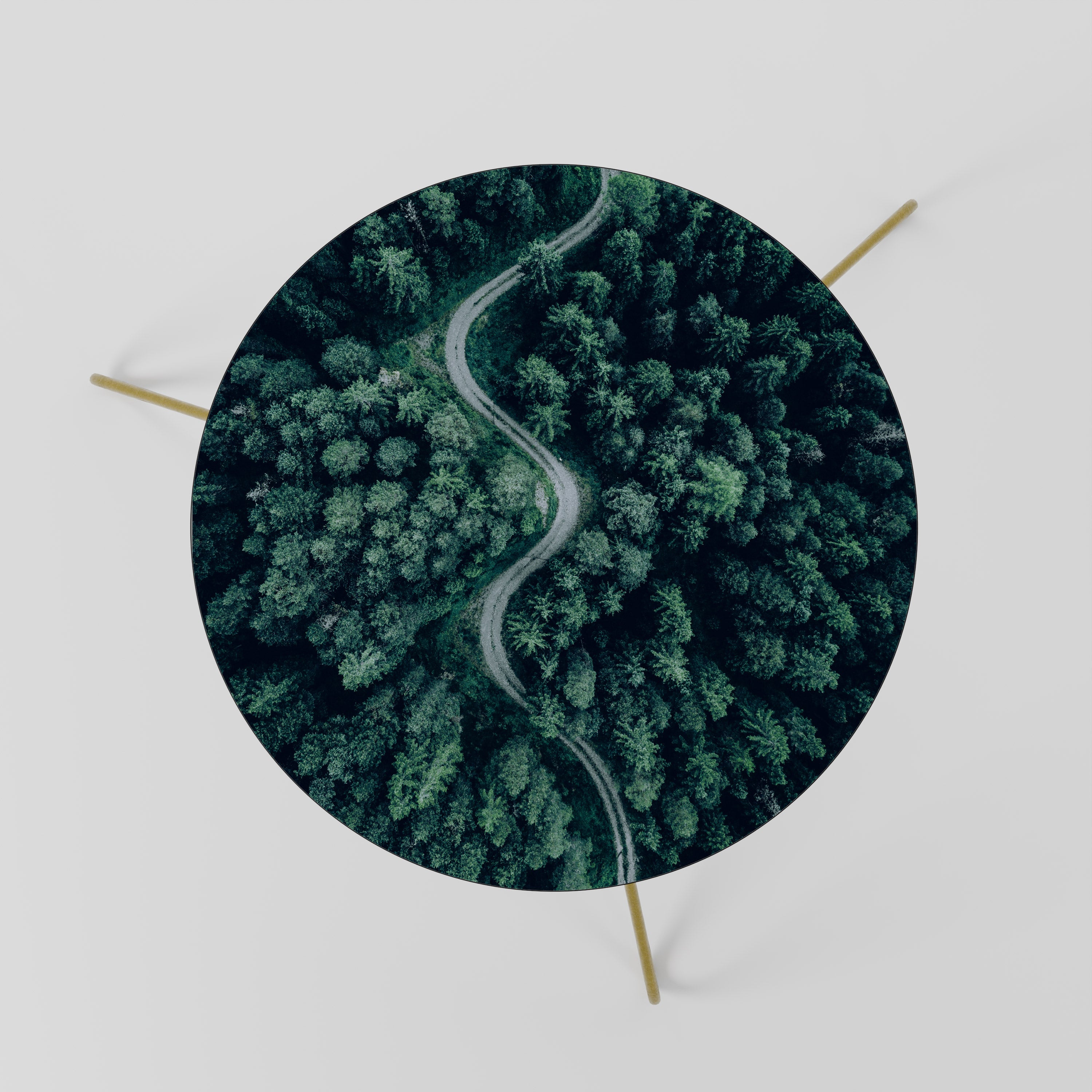 FORESTED SERPENTINE ROUTE Coffee Table 60