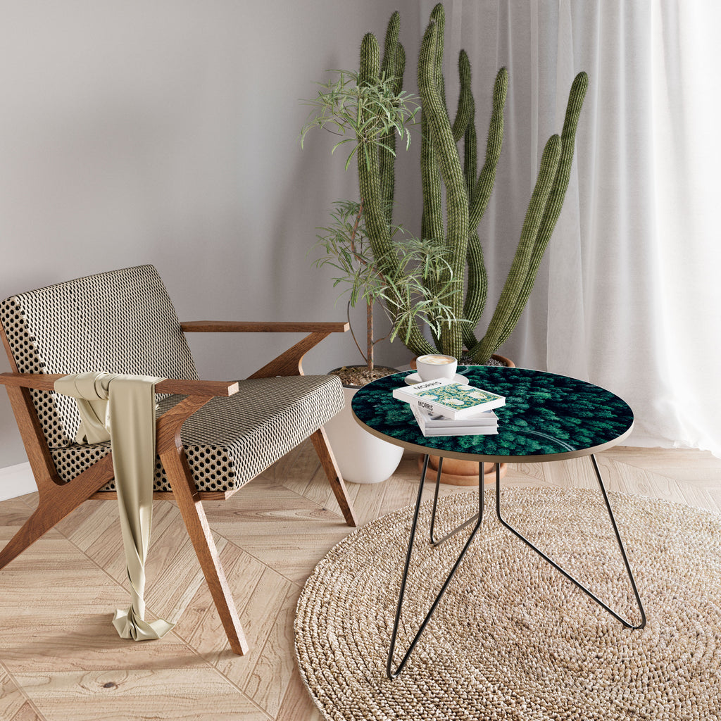 Mesa de centro 69 de la Ruta Serpentina Forestal