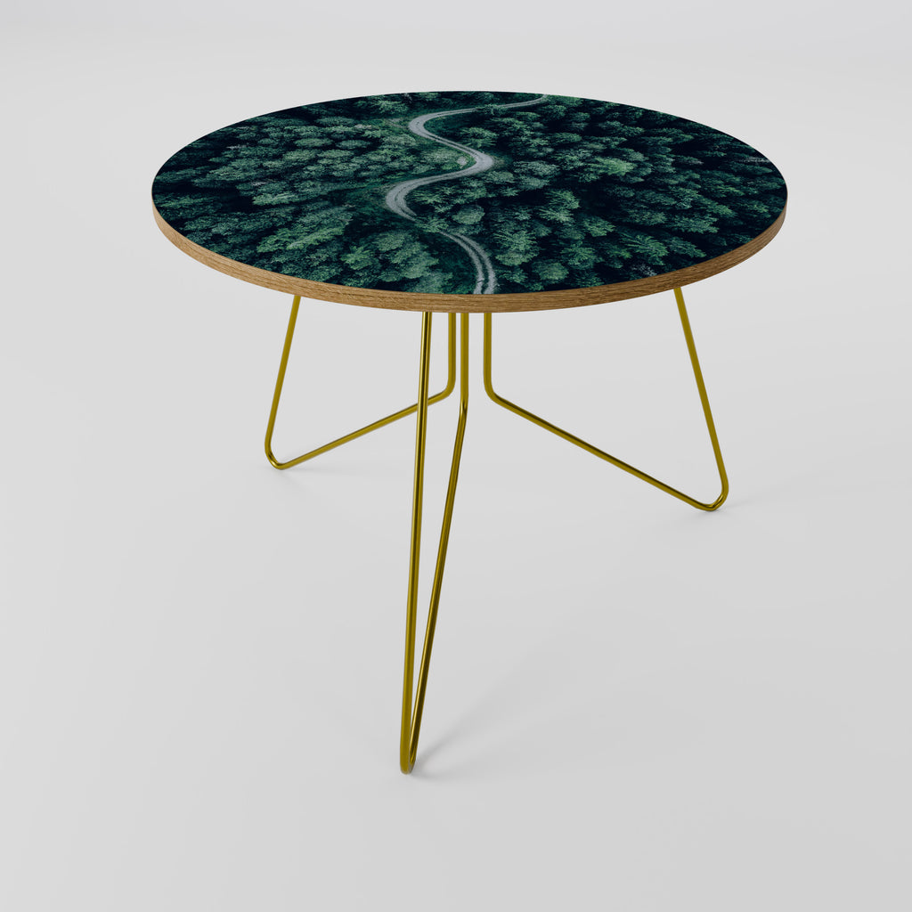FORESTED SERPENTINE ROUTE Coffee Table
