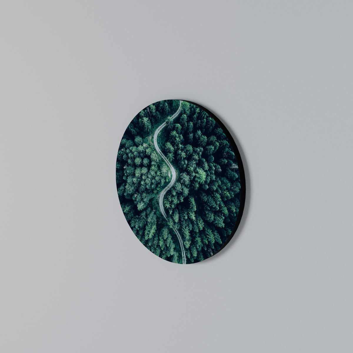 FORESTED SERPENTINE ROUTE Arte de pared redondo