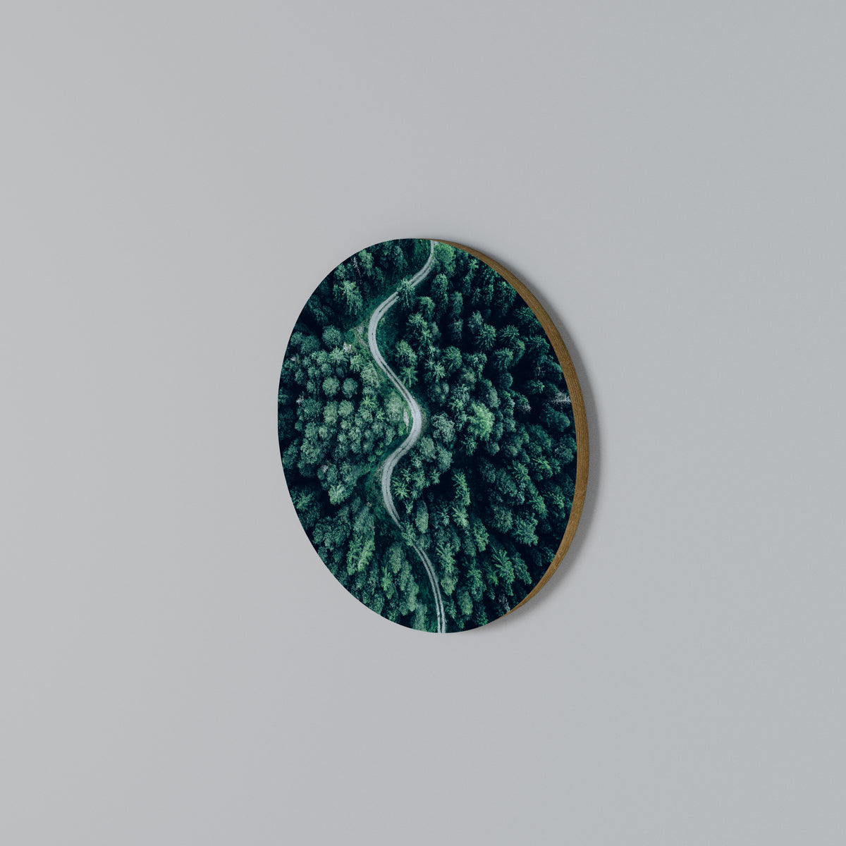 FORESTED SERPENTINE ROUTE Arte de pared redondo