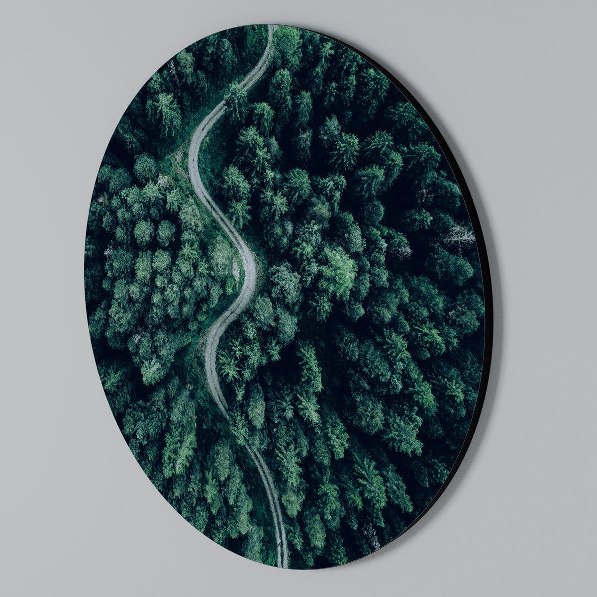 FORESTED SERPENTINE ROUTE Arte de pared redondo