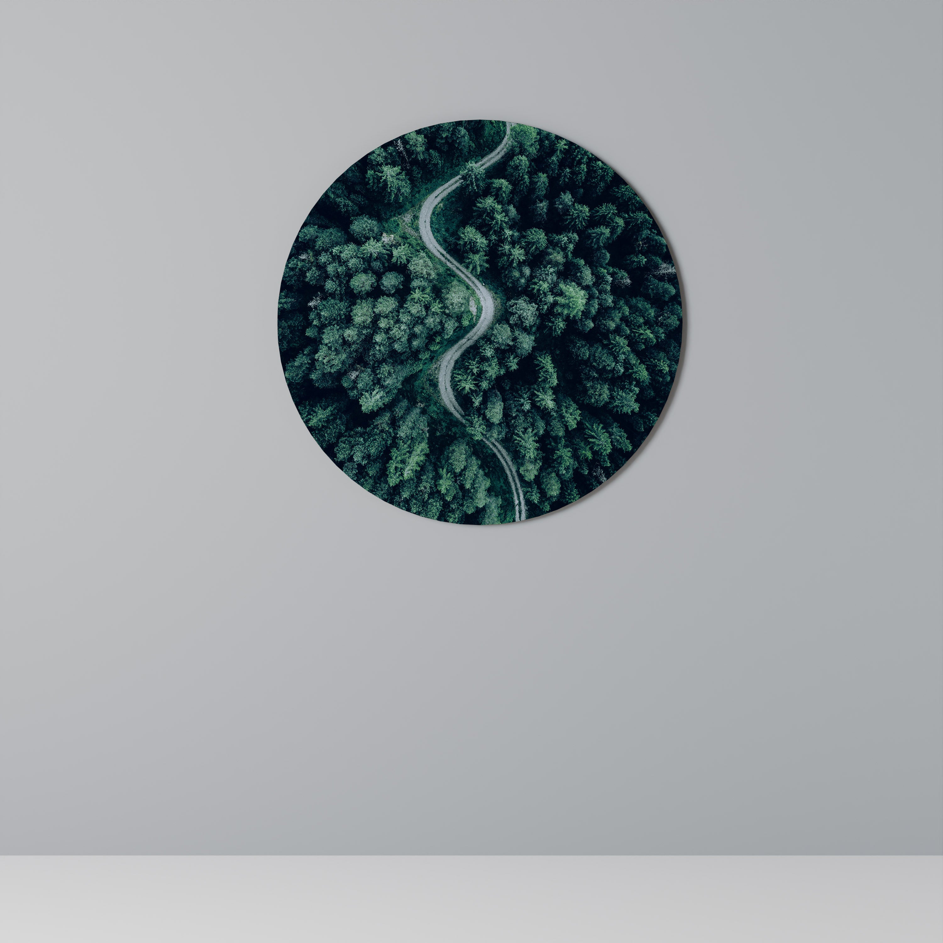 FORESTED SERPENTINE ROUTE Round Wall Art
