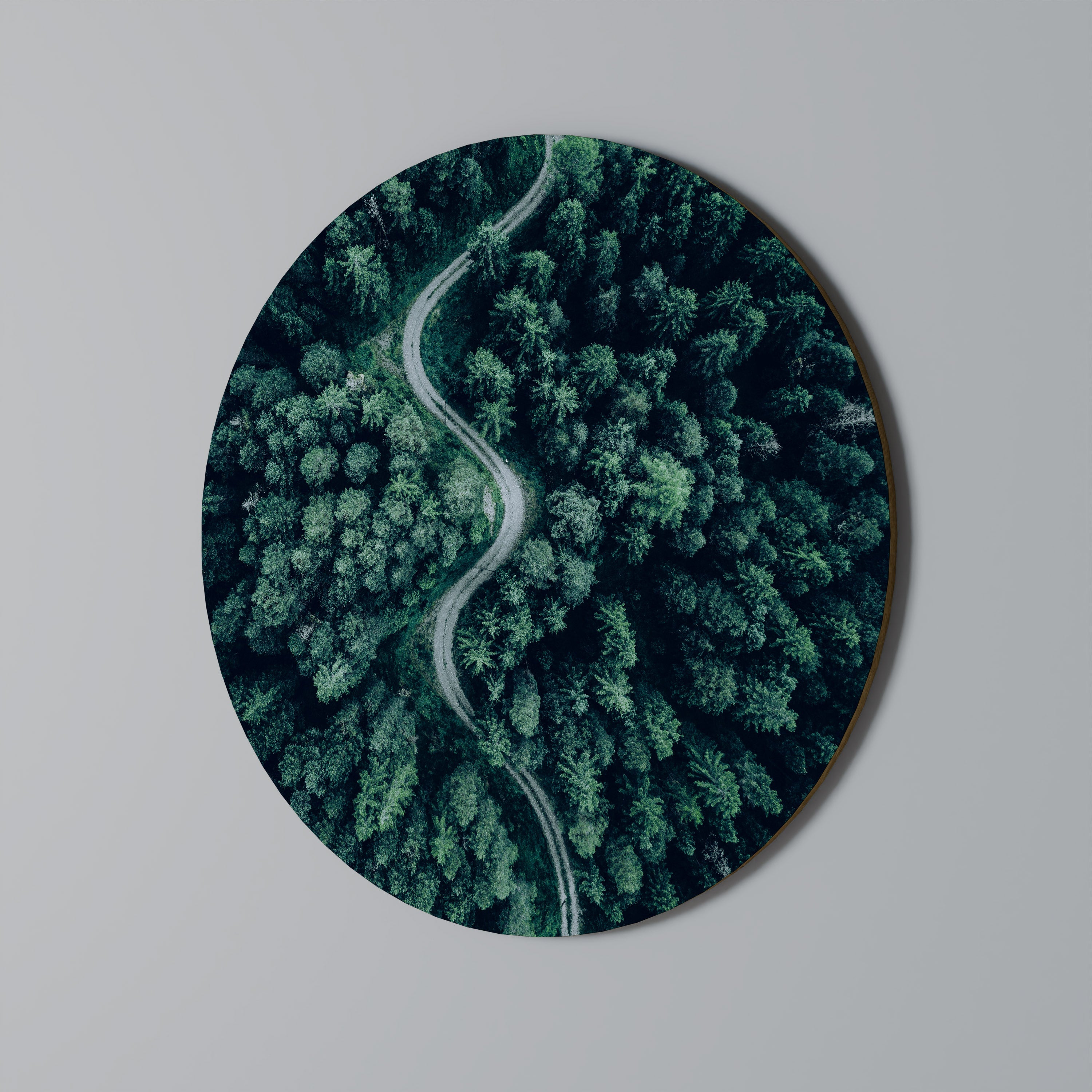 FORESTED SERPENTINE ROUTE Round Wall Art