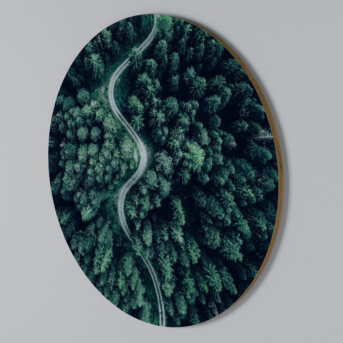 FORESTED SERPENTINE ROUTE Arte de pared redondo