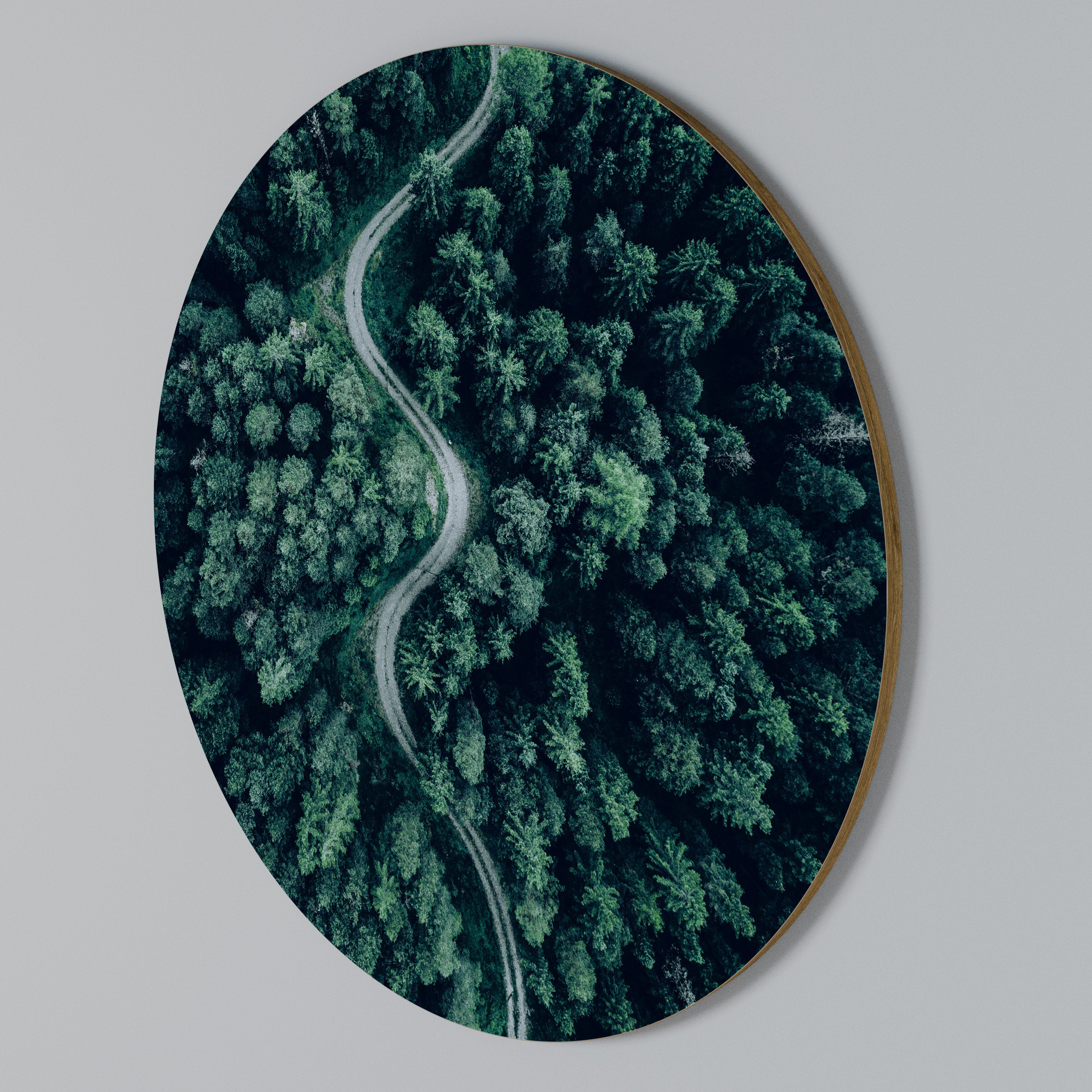 FORESTED SERPENTINE ROUTE Round Wall Art