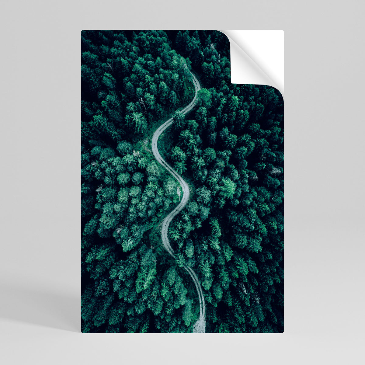 FORESTED SERPENTINE ROUTE Póster adhesivo vertical