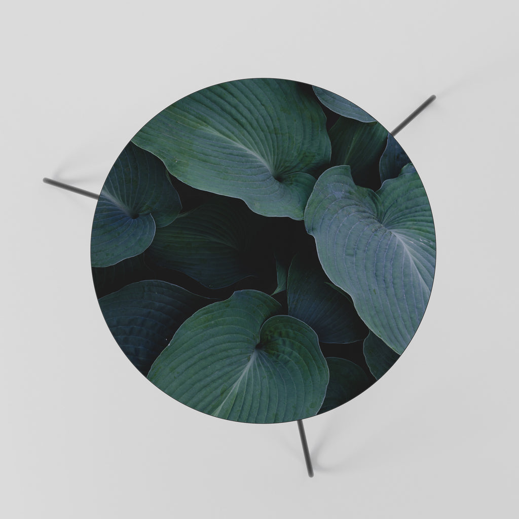 ENCHANTED FOLIAGE DANCE Coffee Table 60