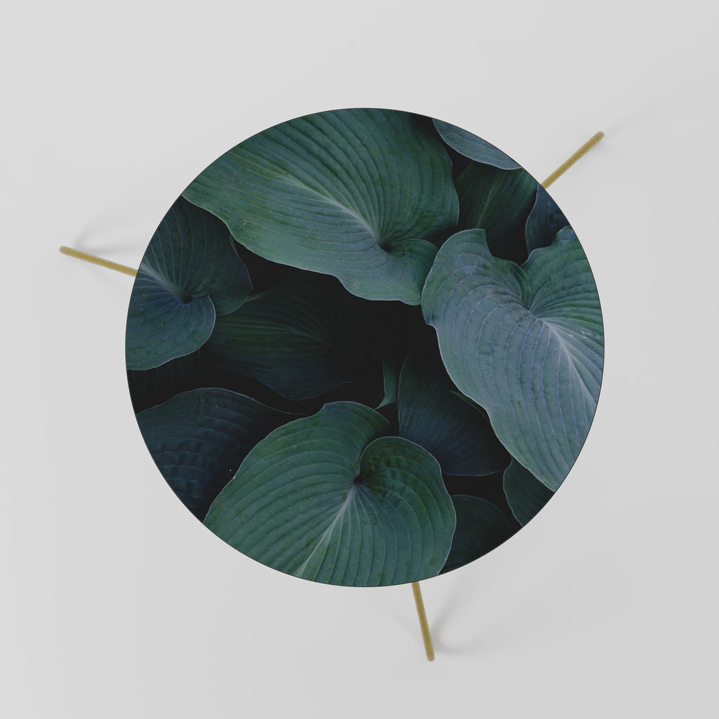 ENCHANTED FOLIAGE DANCE Coffee Table 60