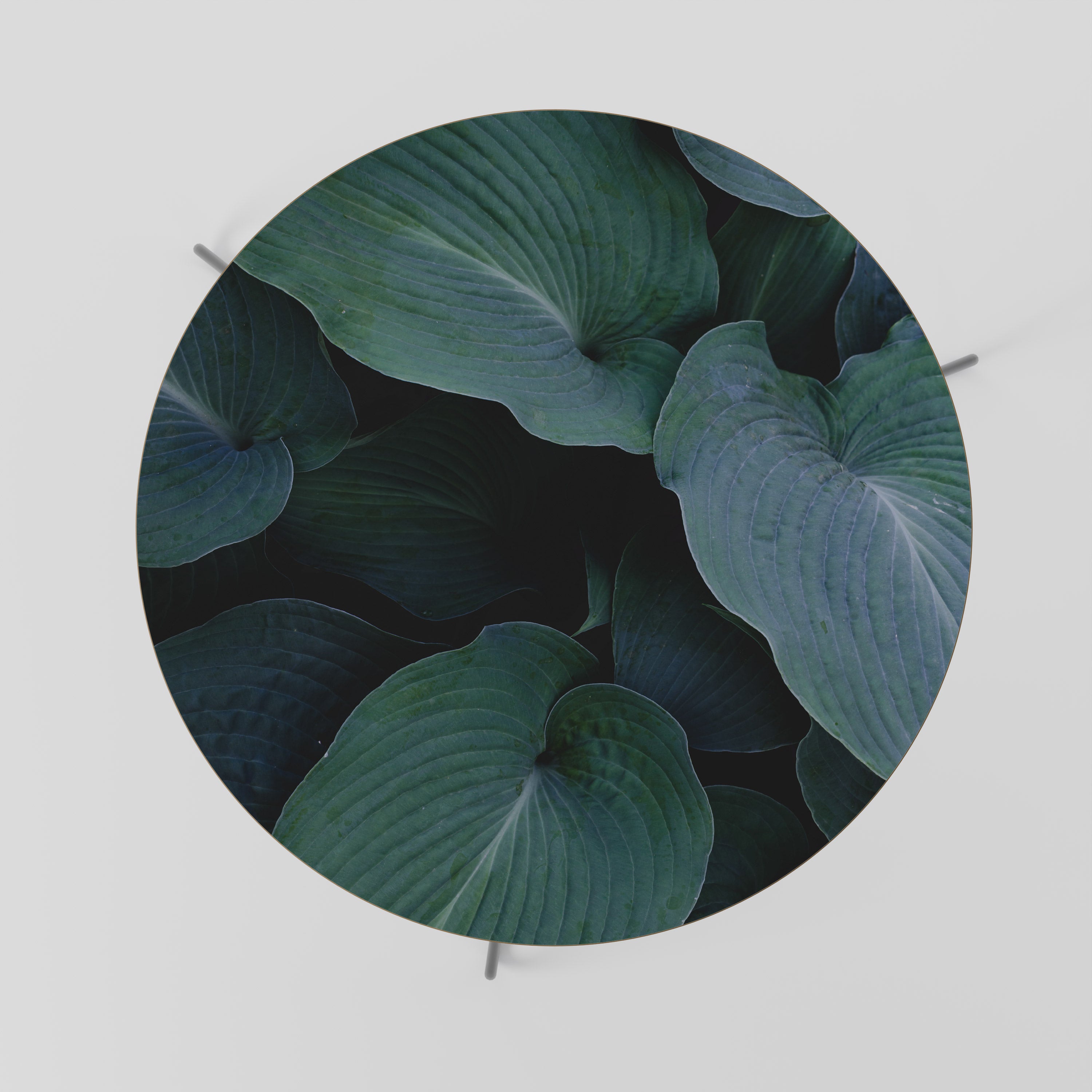 Mesa de centro ENCHANTED FOLIAGE DANCE 69