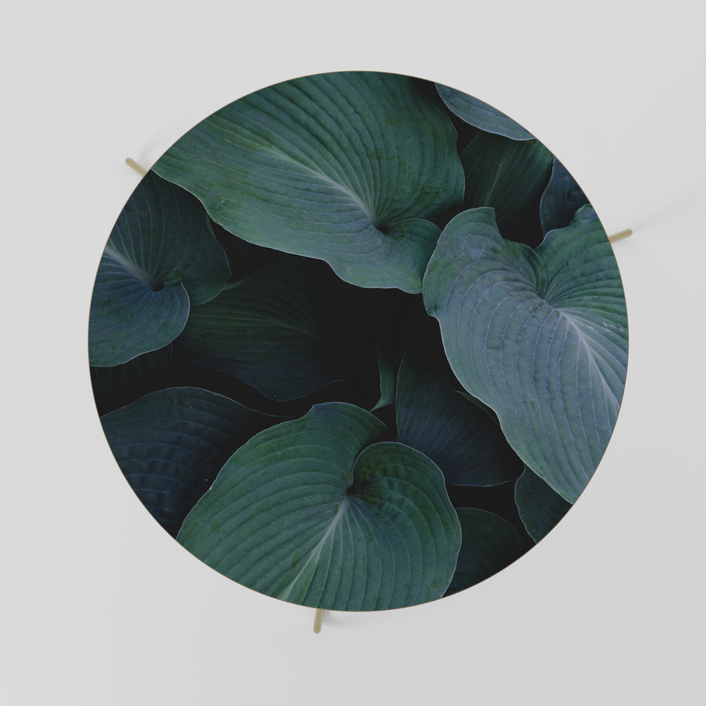 Mesa de centro ENCHANTED FOLIAGE DANCE 69