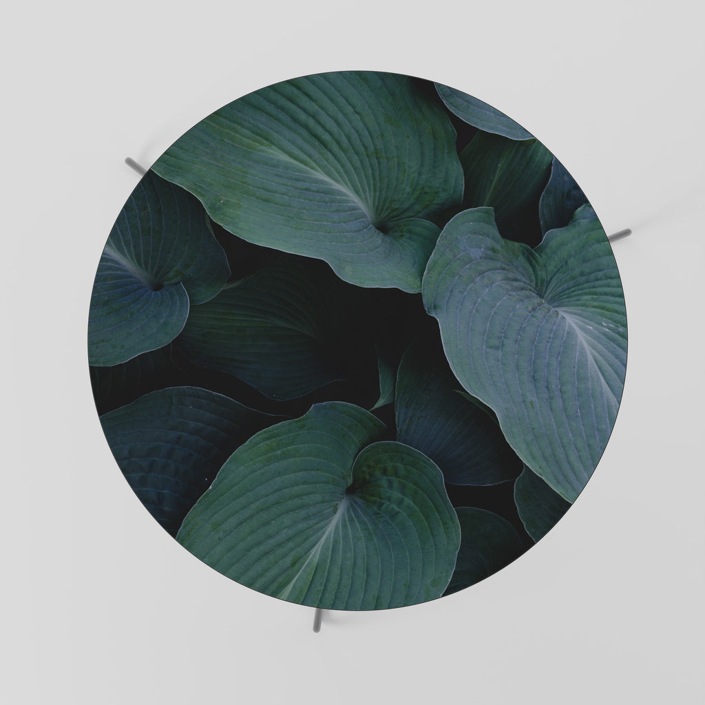 Mesa de centro ENCHANTED FOLIAGE DANCE 69