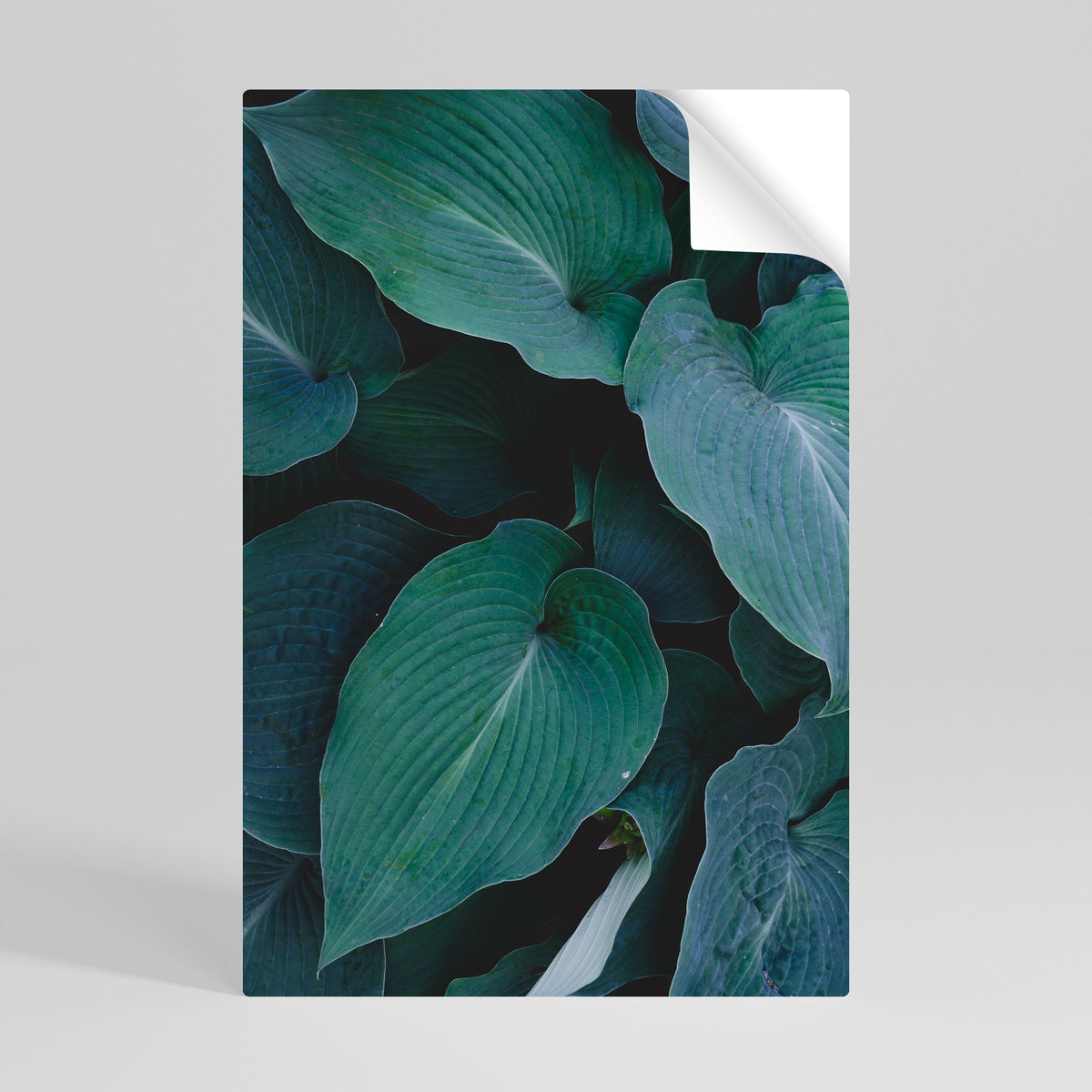 ENCHANTED FOLIAGE DANCE Póster adhesivo vertical