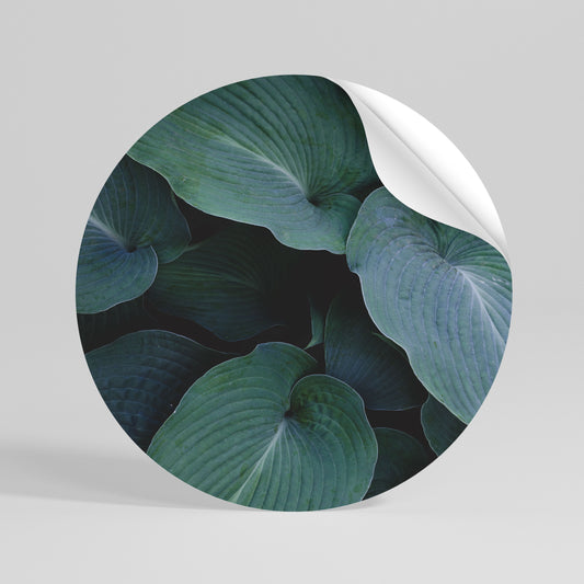ENCHANTED FOLIAGE DANCE Vinilo adhesivo redondo