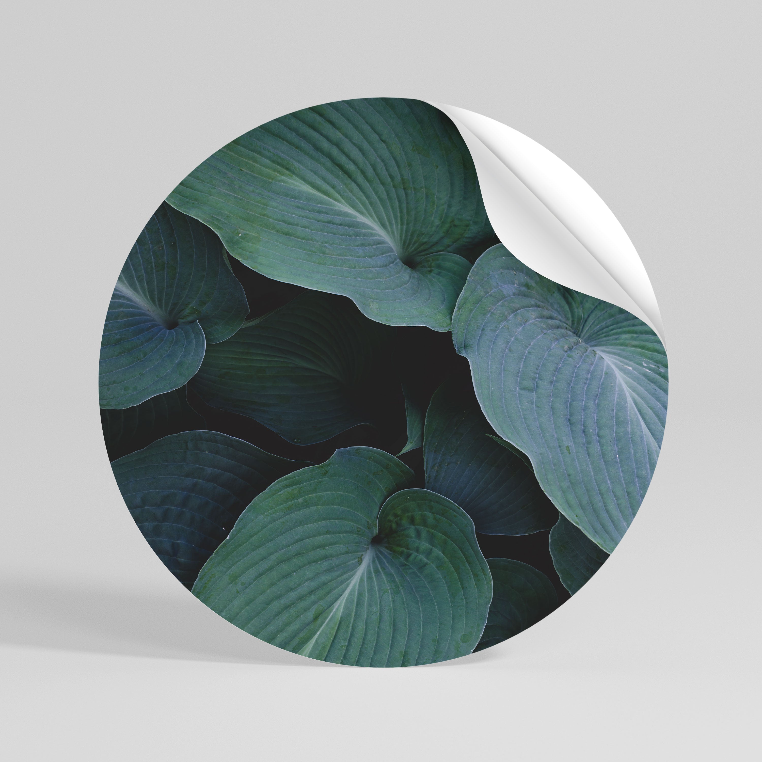 ENCHANTED FOLIAGE DANCE Peel and Stick Round Sticker