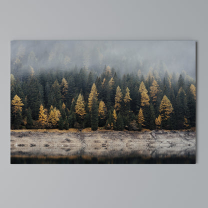 GOLDEN TREES IN FOG Cuadro en lienzo horizontal