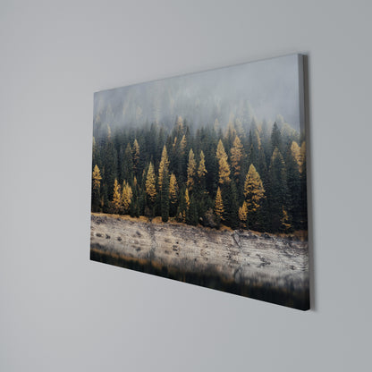 GOLDEN TREES IN FOG Cuadro en lienzo horizontal