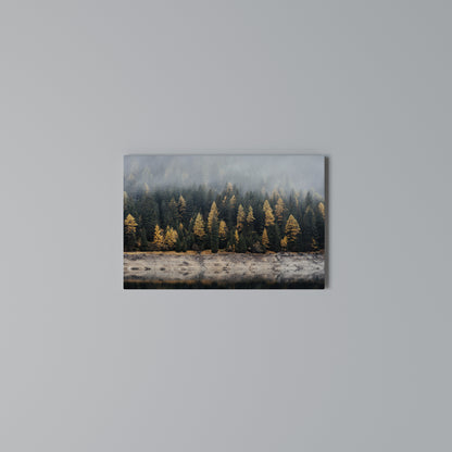 GOLDEN TREES IN FOG Cuadro en lienzo horizontal