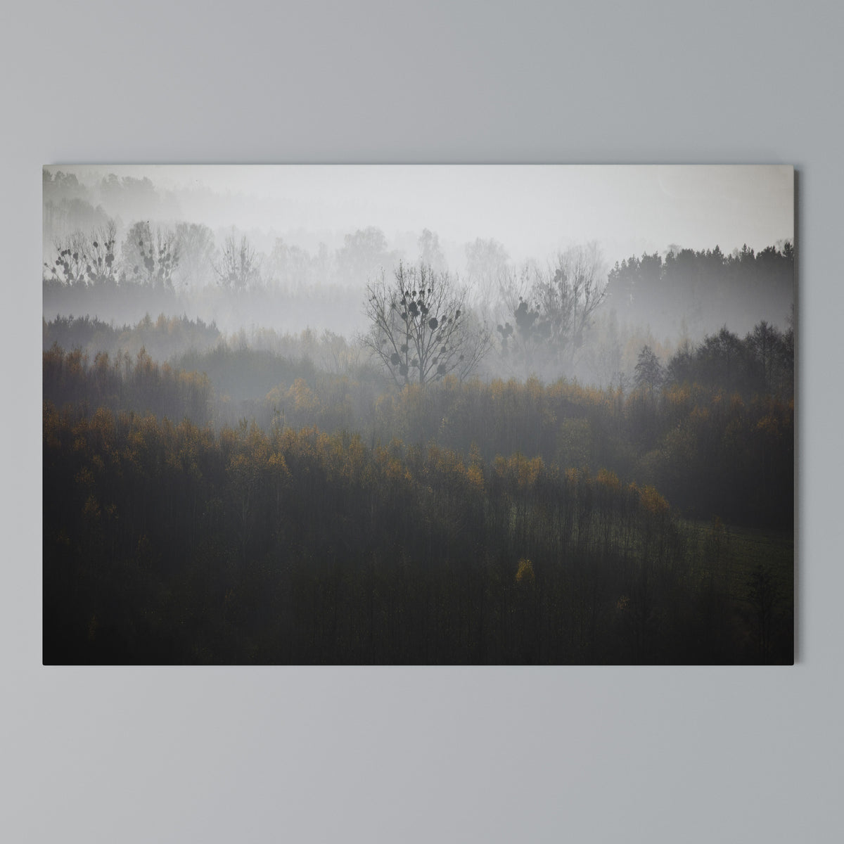 AUTUMNAL HAZE Cuadro en lienzo horizontal